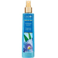 Morning Glory Fragrance Body Mist 8 oz (Pack of 8) Y5554