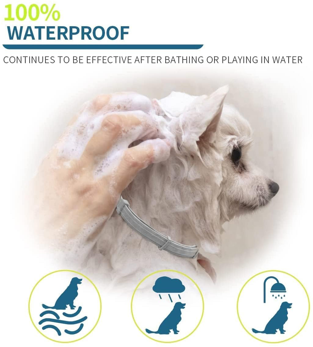 Flea and Tick Collar for Small Dogs, 15.5inch, 8 Month Protection, Gray X831092