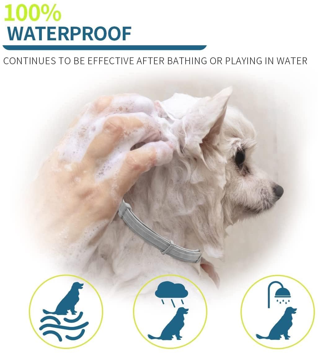 Flea and Tick Collar for Small Dogs, 15.5inch, 8 Month Protection, Gray X831092