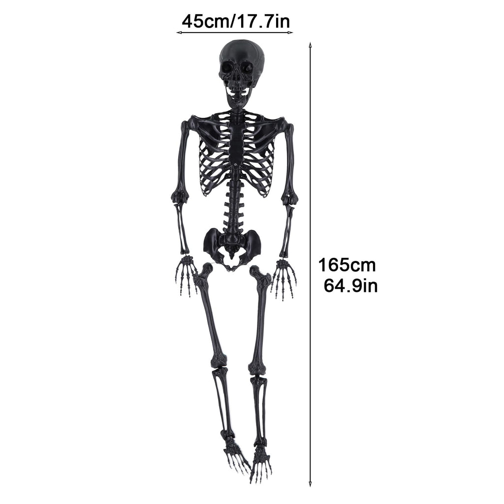 Life Size Posable Skeleton Prop Y350
