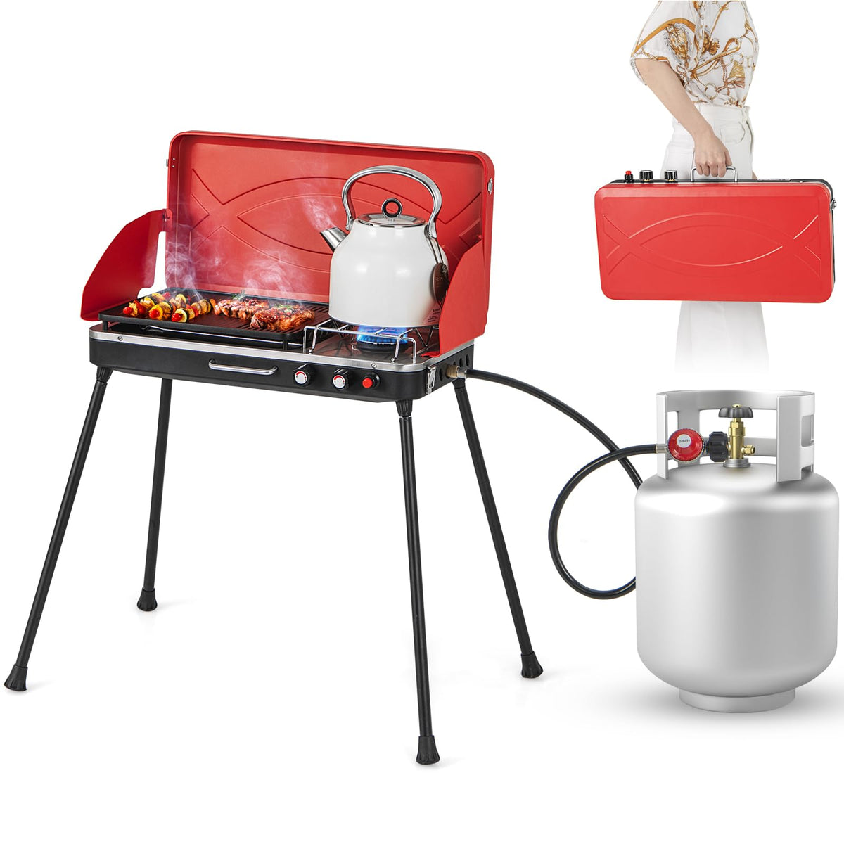 2-Burner Portable Propane Gas Grill with Removable Legs R180921