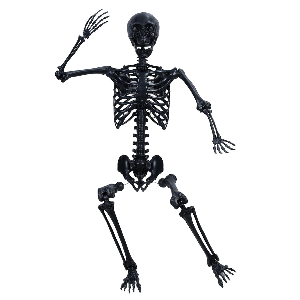 Life Size Posable Skeleton Prop Y350