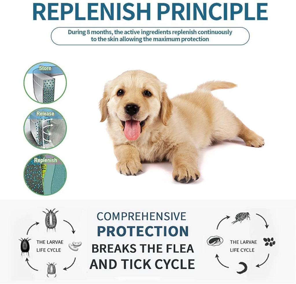 Flea and Tick Collar for Small Dogs, 15.5inch, 8 Month Protection, Gray X831092