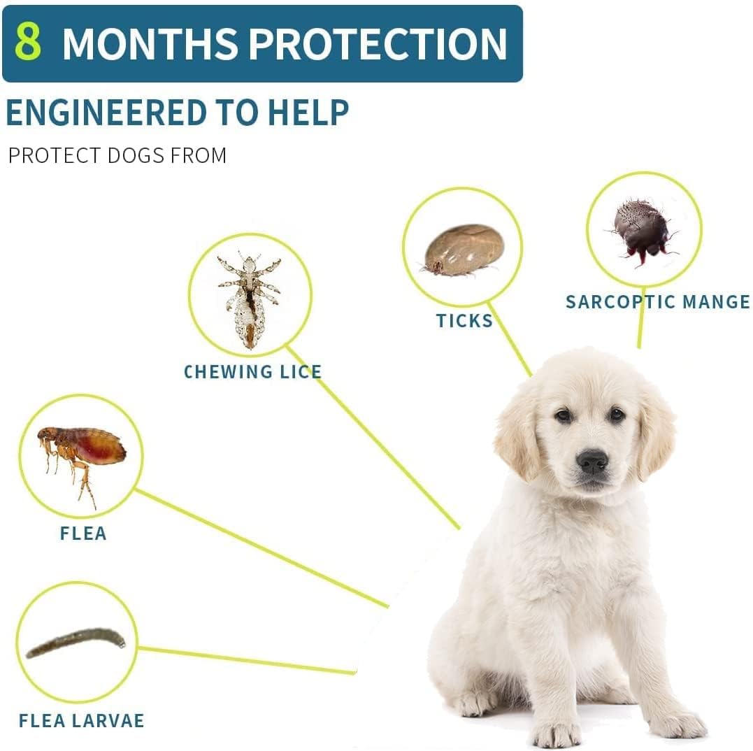 Flea and Tick Collar for Small Dogs, 15.5inch, 8 Month Protection, Gray X831092