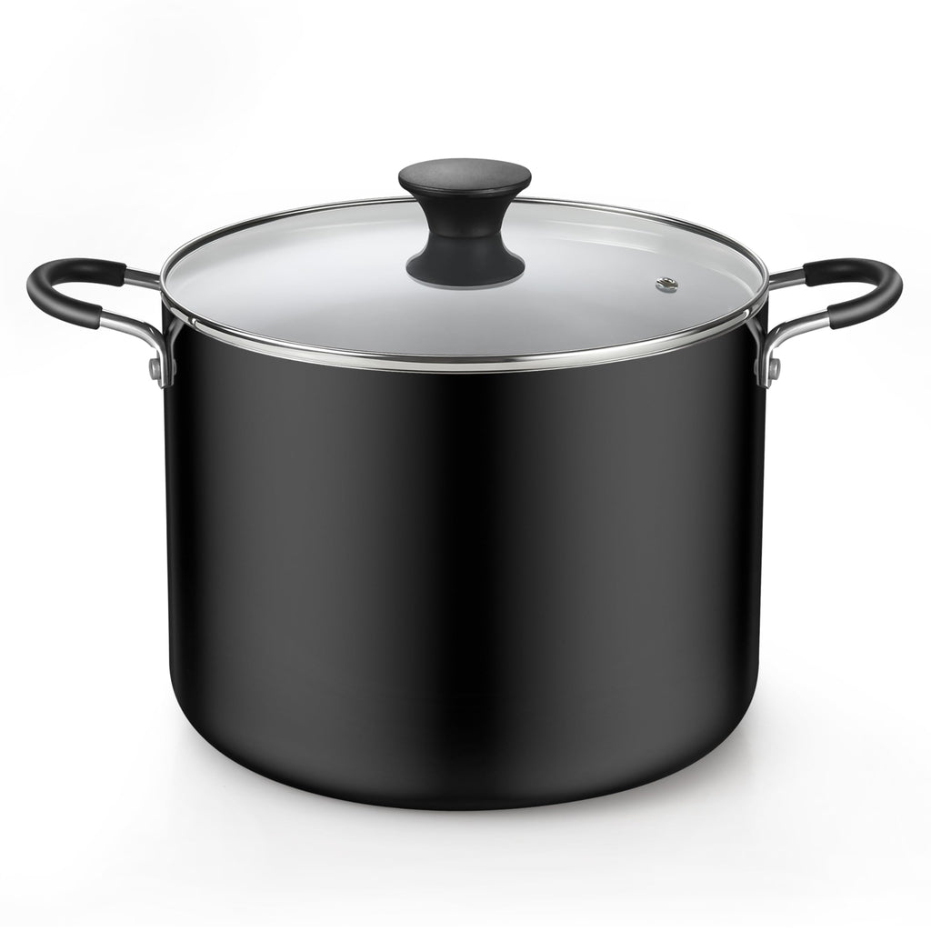 10.5 Quart Non Stick Stock Pot with Lid X617724
