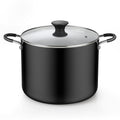 10.5 Quart Non Stick Stock Pot with Lid X617724
