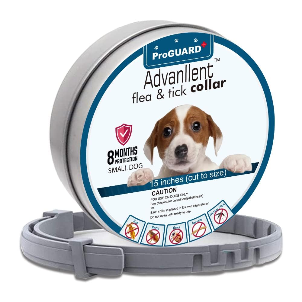 Flea and Tick Collar for Small Dogs, 15.5inch, 8 Month Protection, Gray X831092
