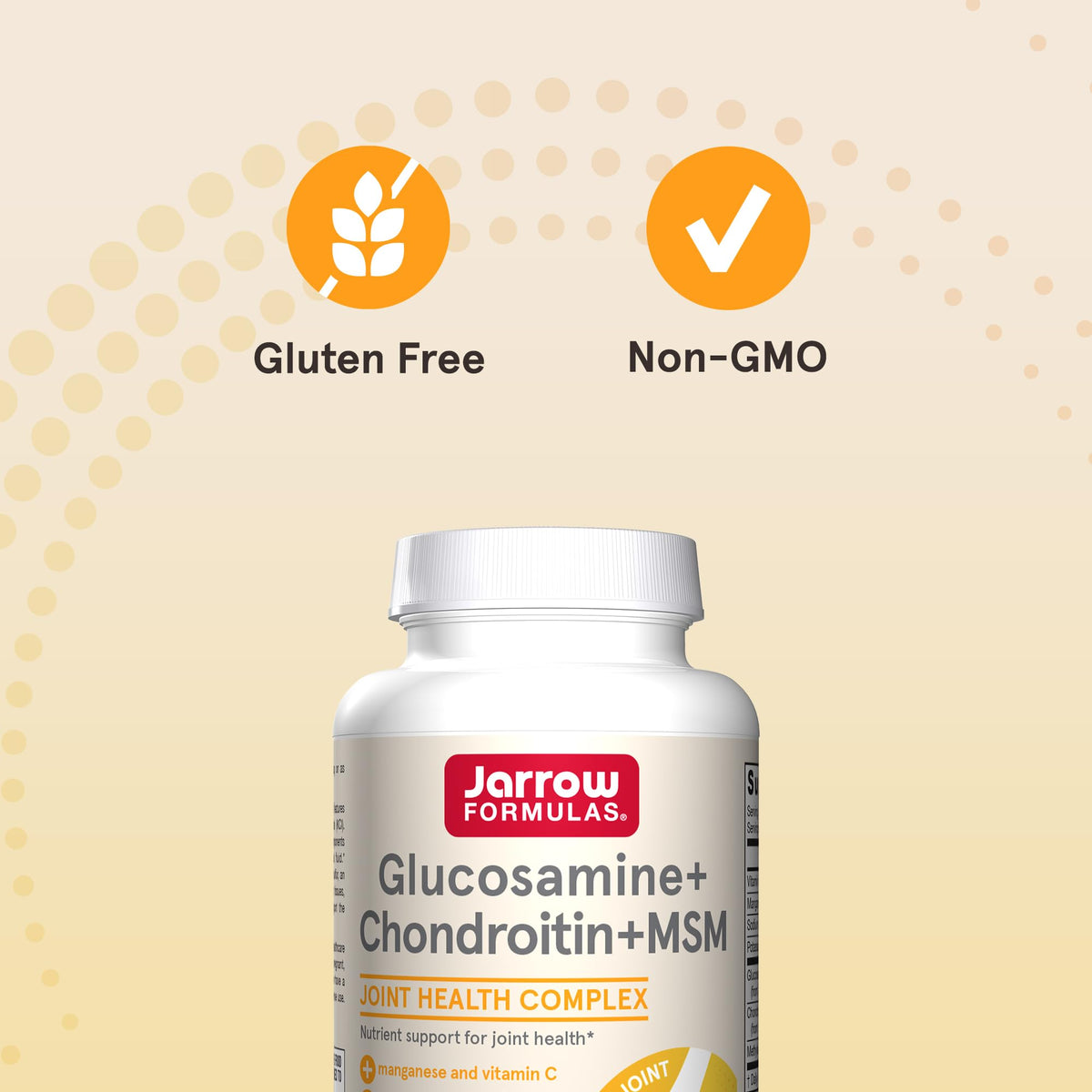 Glucosamine, Chondroitin, and MSM, 120 Capsules R6427