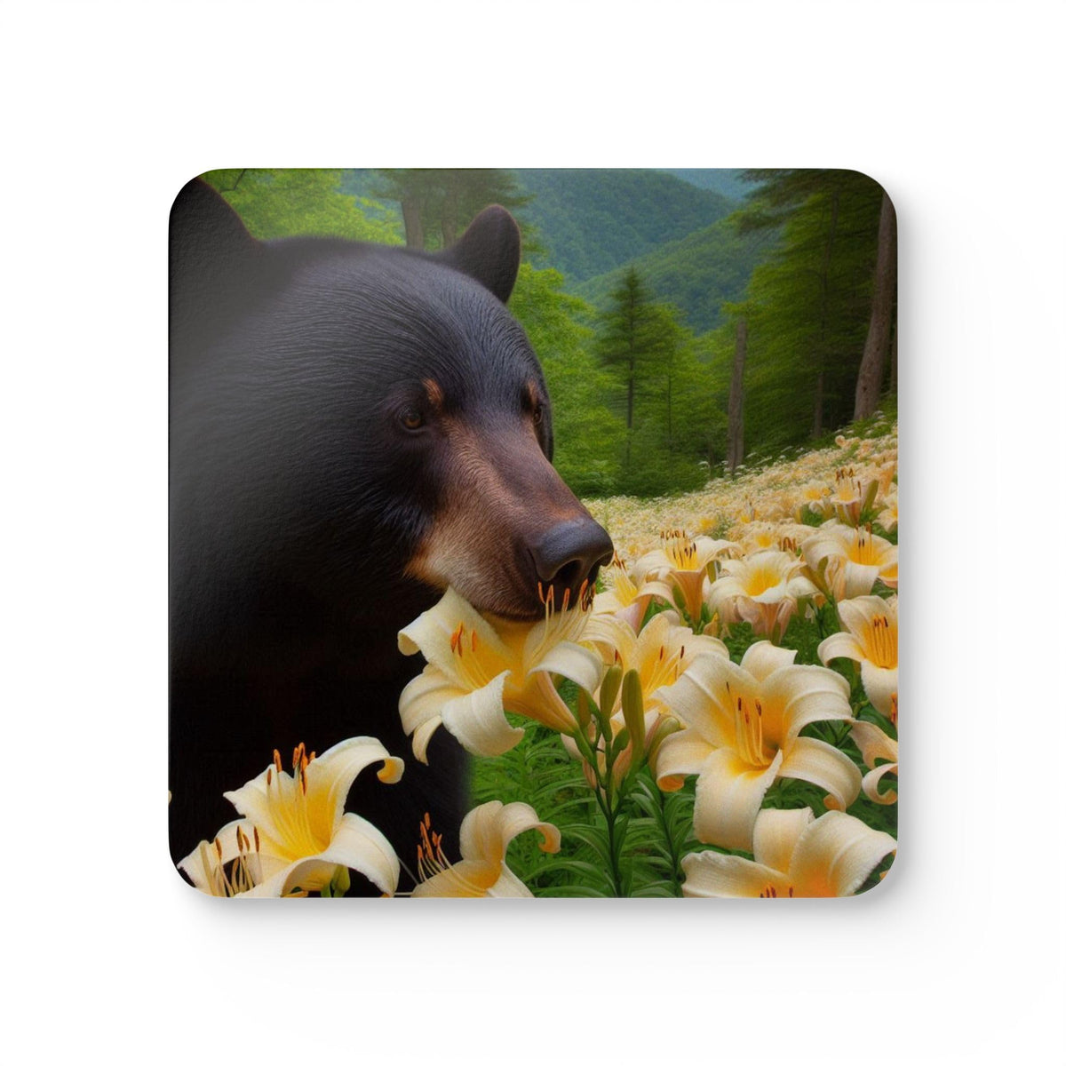 Set of 4 Coasters Q893
