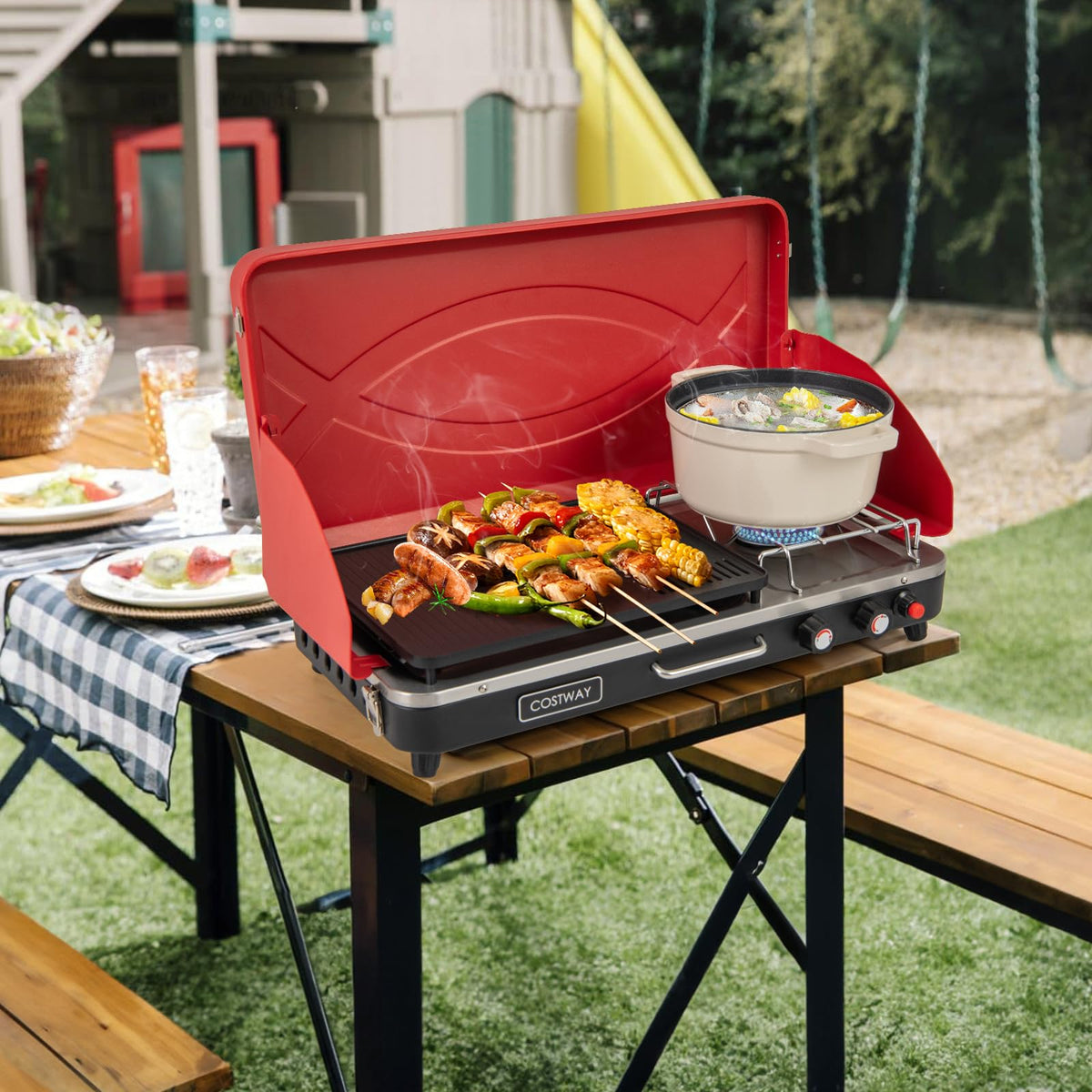 2-Burner Portable Propane Gas Grill with Removable Legs R180921