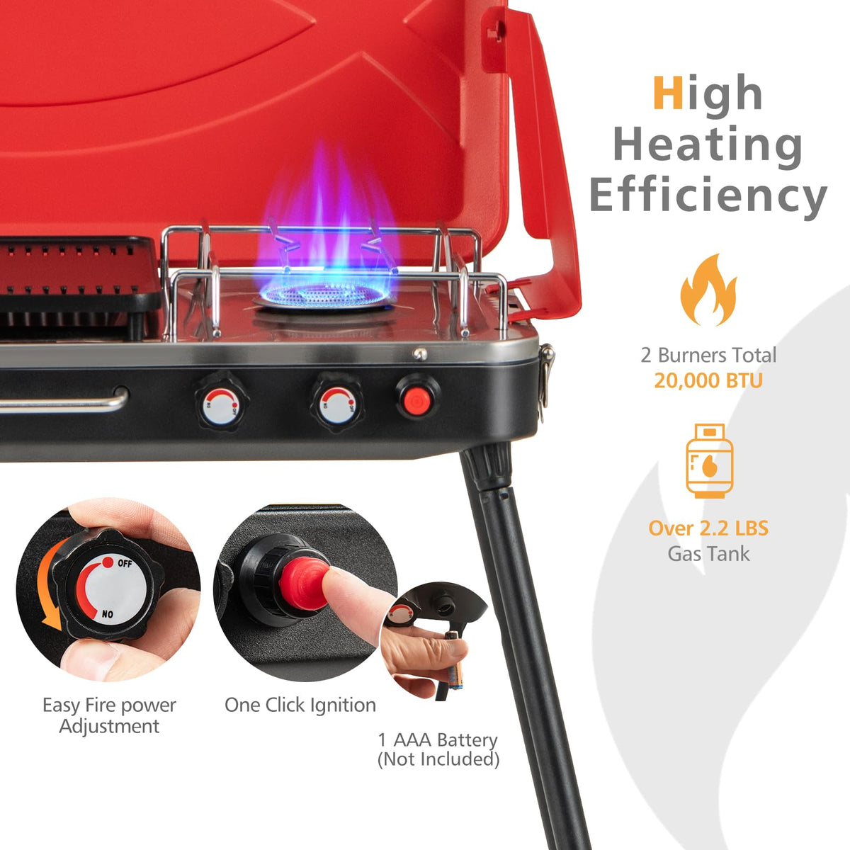 2-Burner Portable Propane Gas Grill with Removable Legs R180921
