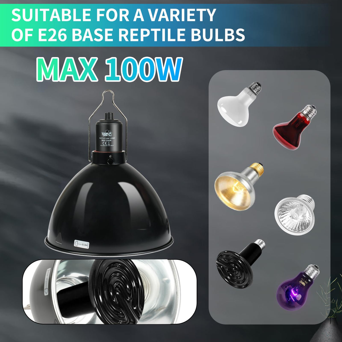 5.5 Inch Deep Dome Reptile Light Fixture with Dimming Thermostat T447898