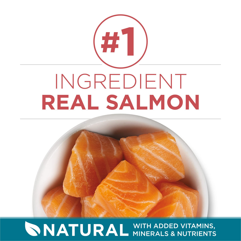 Dry Cat Food, Salmon, 7 lb Bag N582049