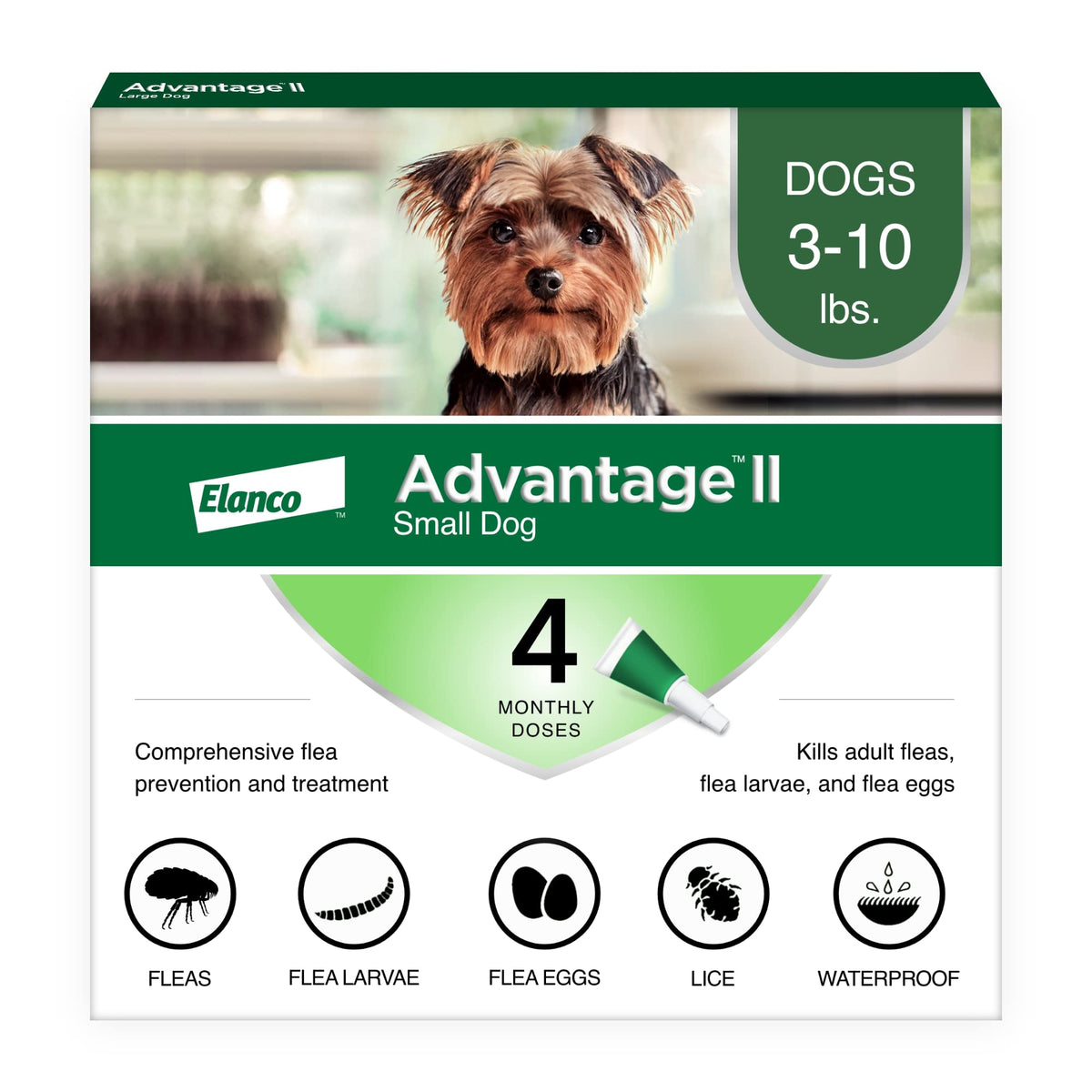 Small Dog Flea Treatment & Prevention 4-Month Supply B737056