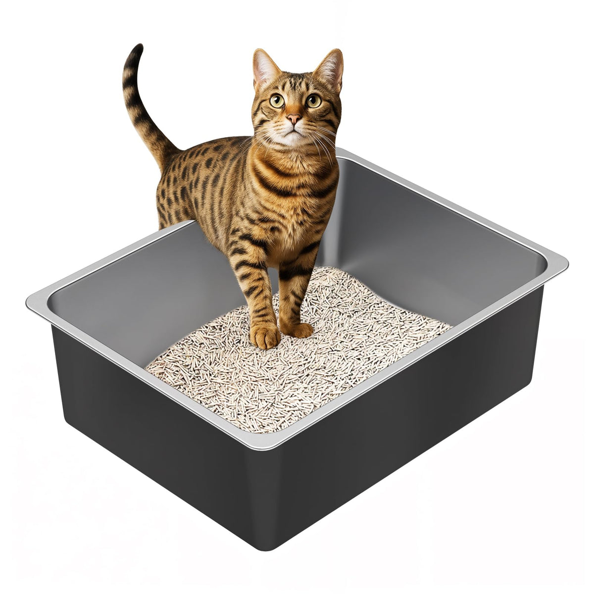 High Sided Stainless Steel Cat Litter Box F6663