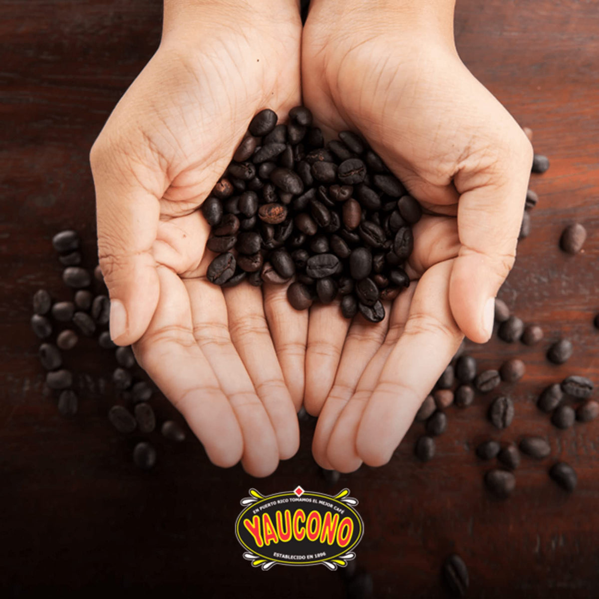 Ground Coffee, Medium Roast, 14 oz Bag (Pack of 6) D161