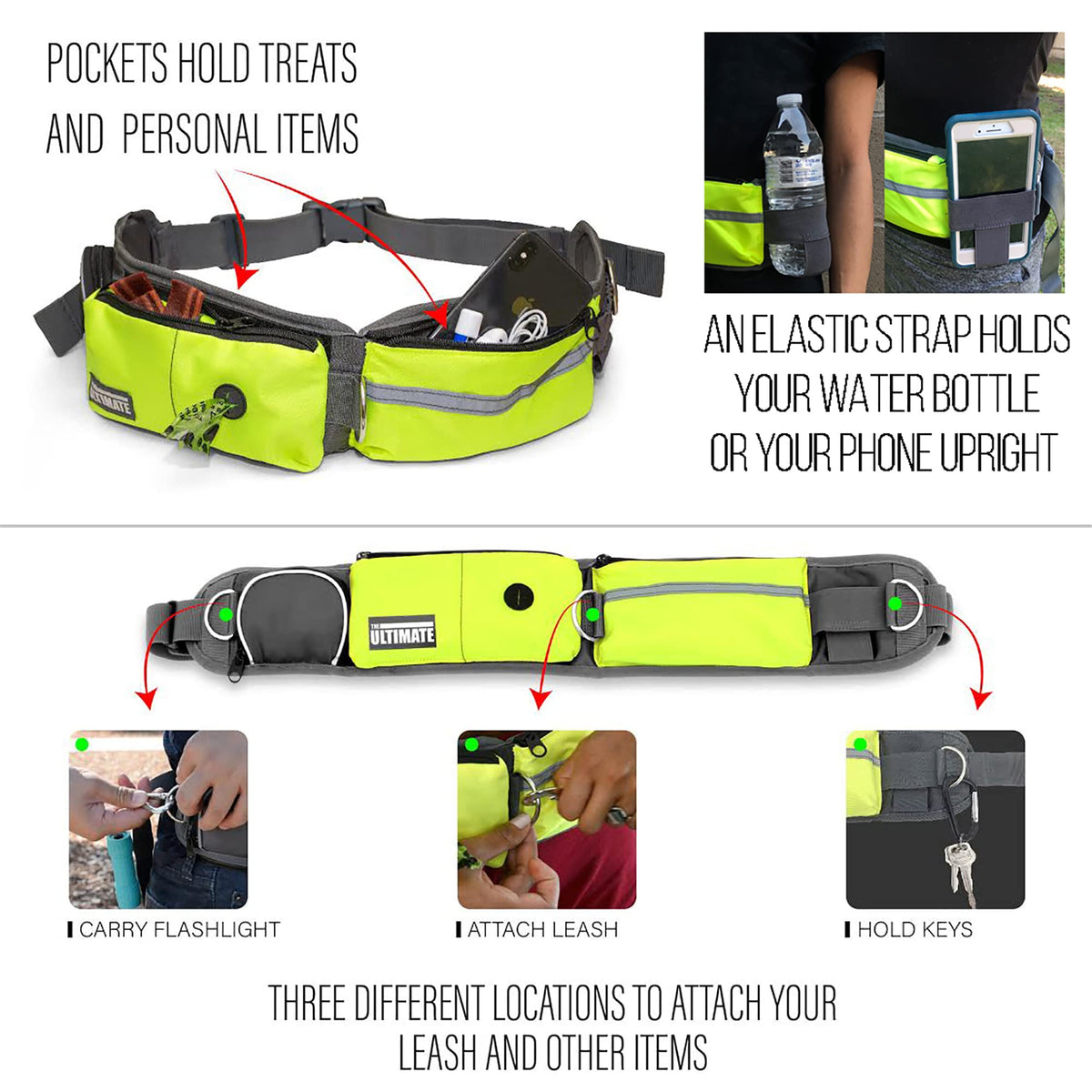 Hands Free Dog Leash with Reflective Bungee, Treat Holder, Poop Bag Dispenser T813320