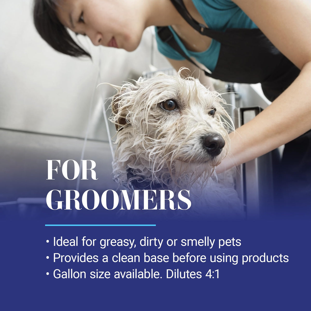 Dog Shampoo L765366
