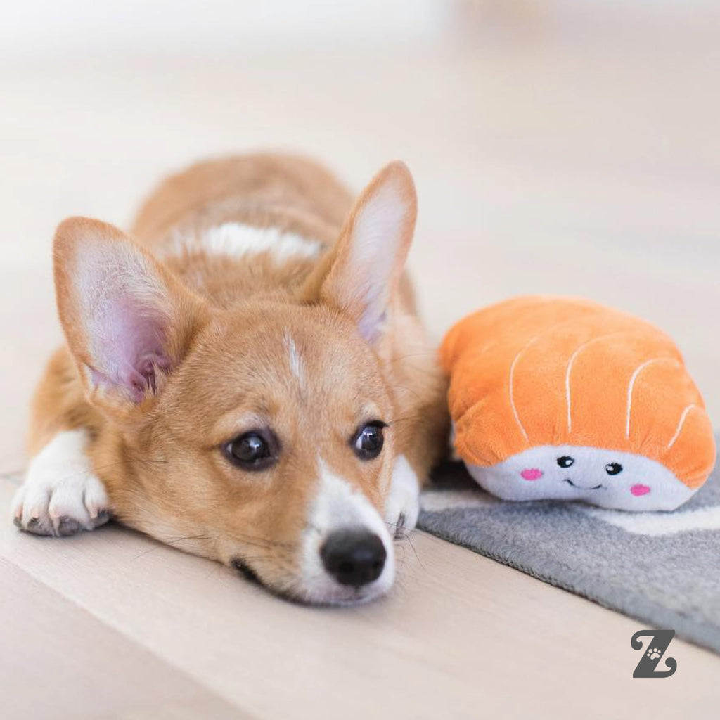 Dog Squeaky Toys C933051