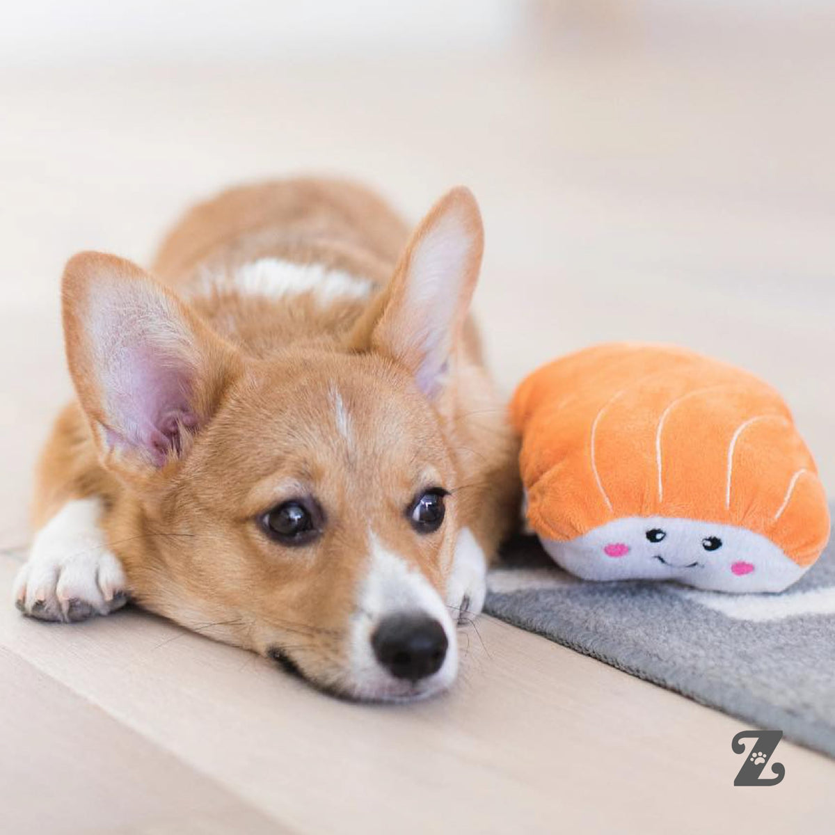 Dog Squeaky Toys C933051
