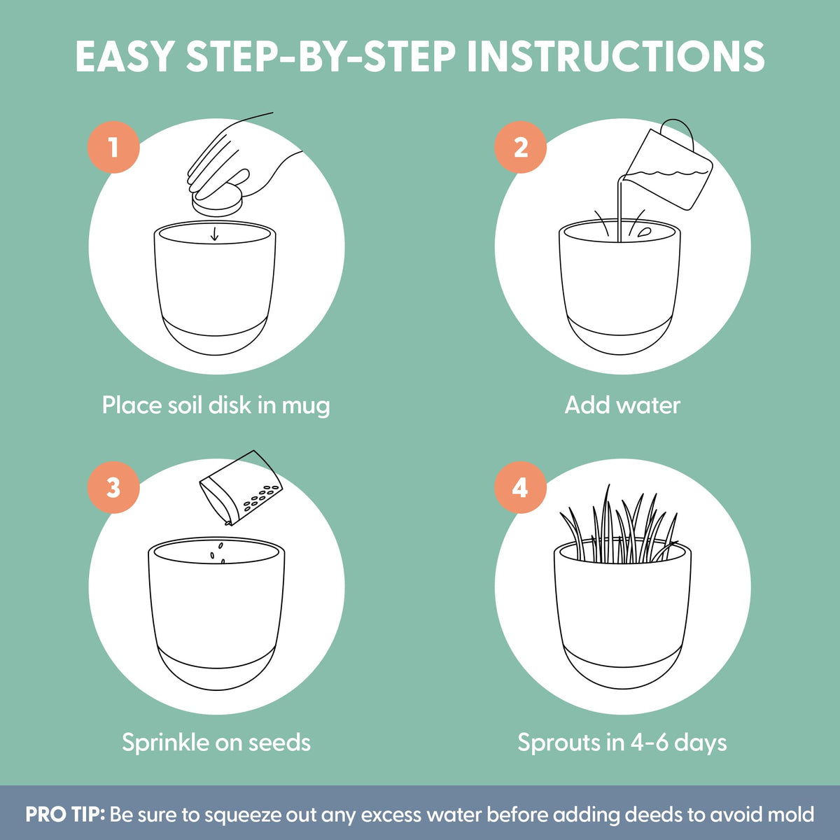 Organic Cat Grass Kit with Seed Mix, Soil and Ceramic Planter B557613