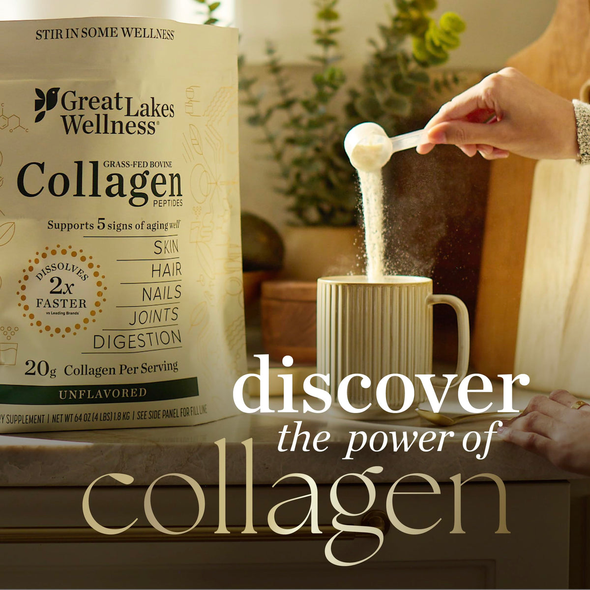 Collagen Peptides Powder, Chocolate, 10 oz G330