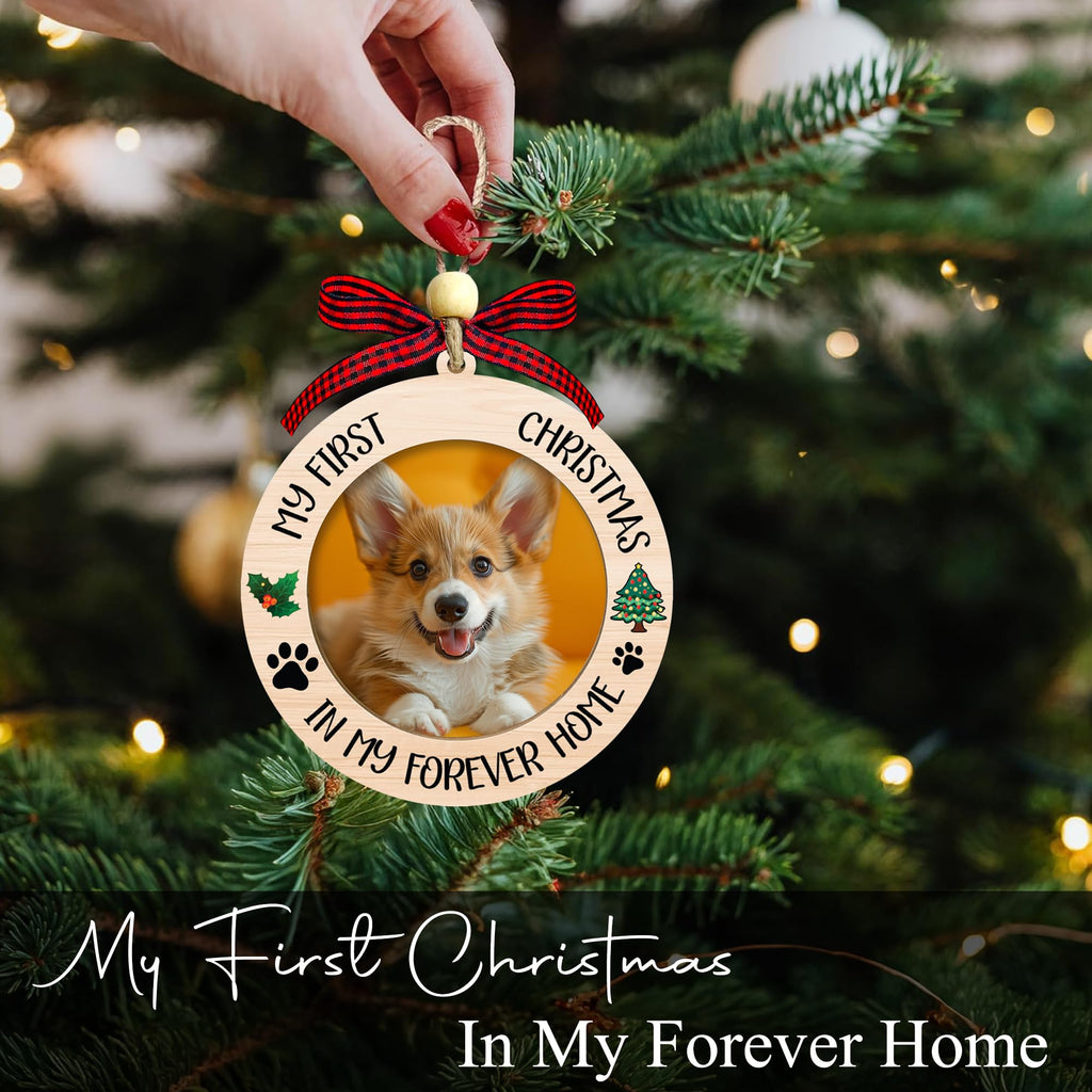 Dog Ornaments V983687