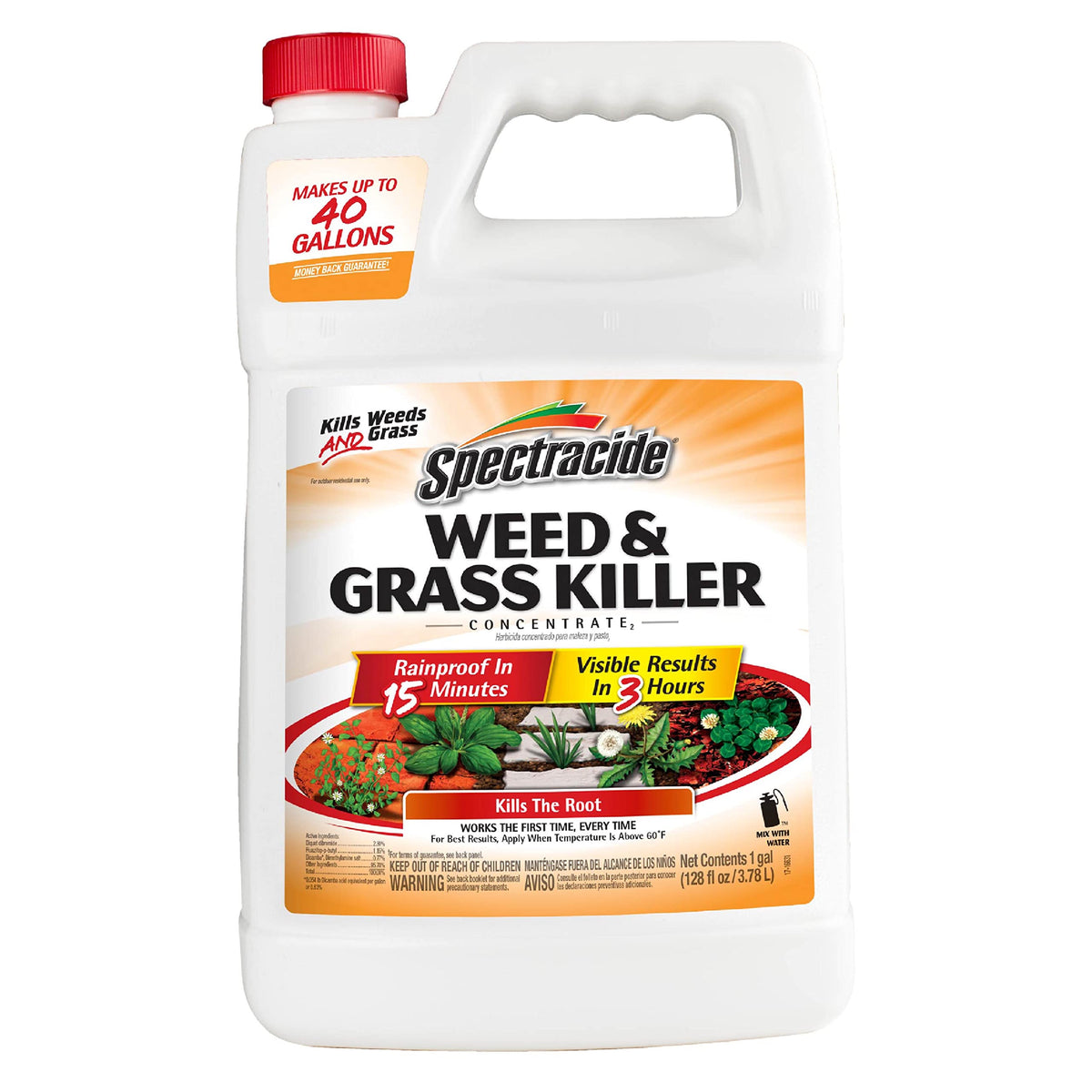 Weed & Grass Killer Concentrate 1 Gal O298910