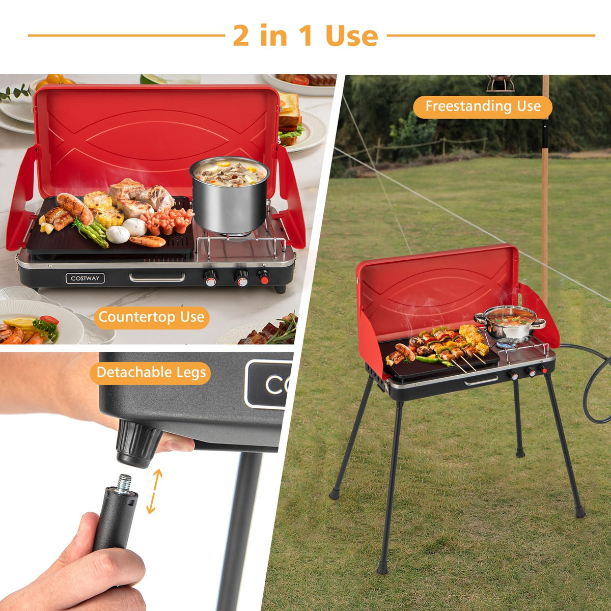 2-Burner Portable Propane Gas Grill with Removable Legs R180921