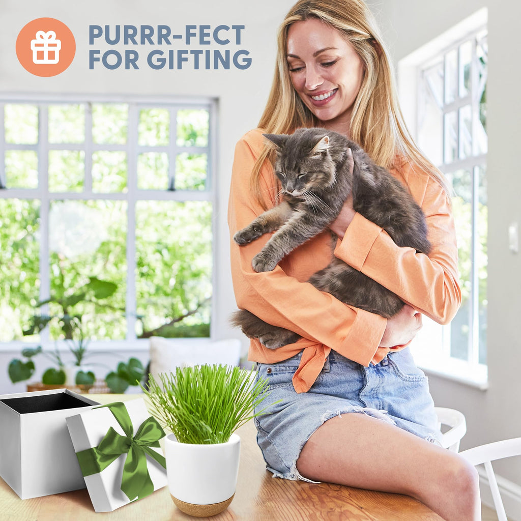 Organic Cat Grass Kit with Seed Mix, Soil and Ceramic Planter B557613