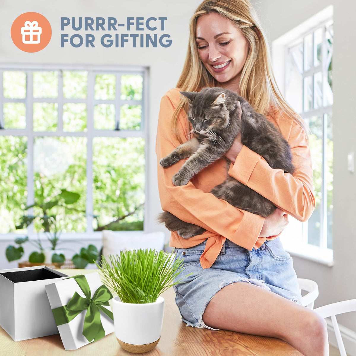 Organic Cat Grass Kit with Seed Mix, Soil and Ceramic Planter B557613