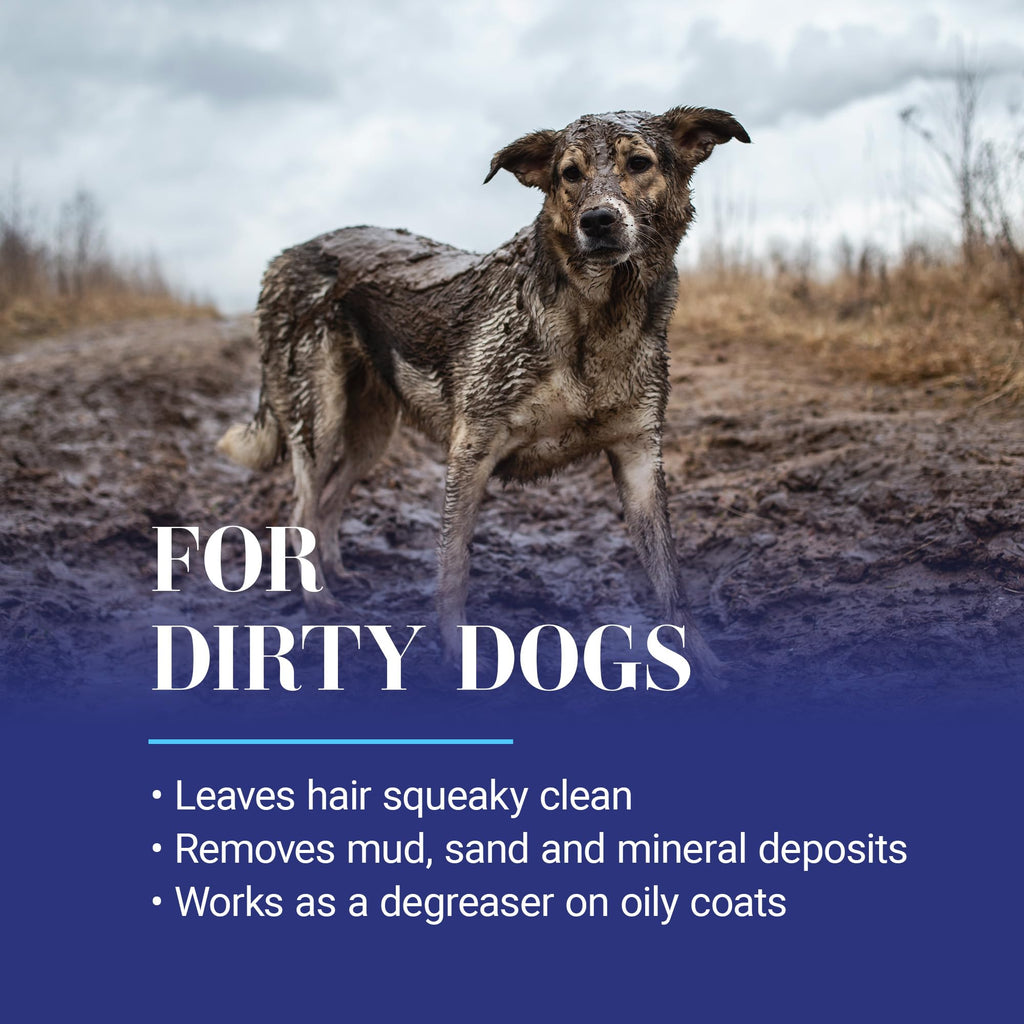 Dog Shampoo L765366