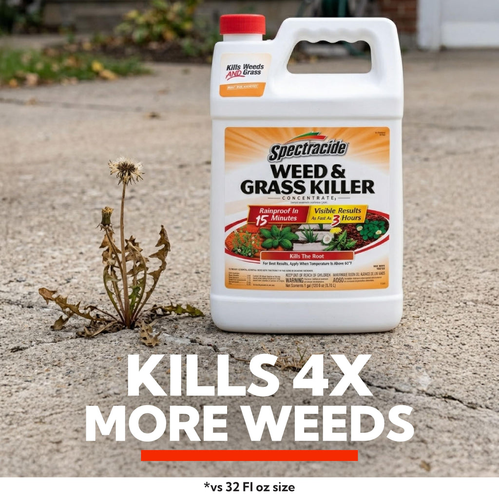 Weed & Grass Killer Concentrate 1 Gal O298910