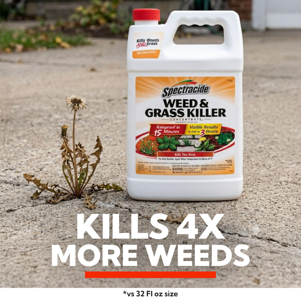 Weed & Grass Killer Concentrate 1 Gal O298910