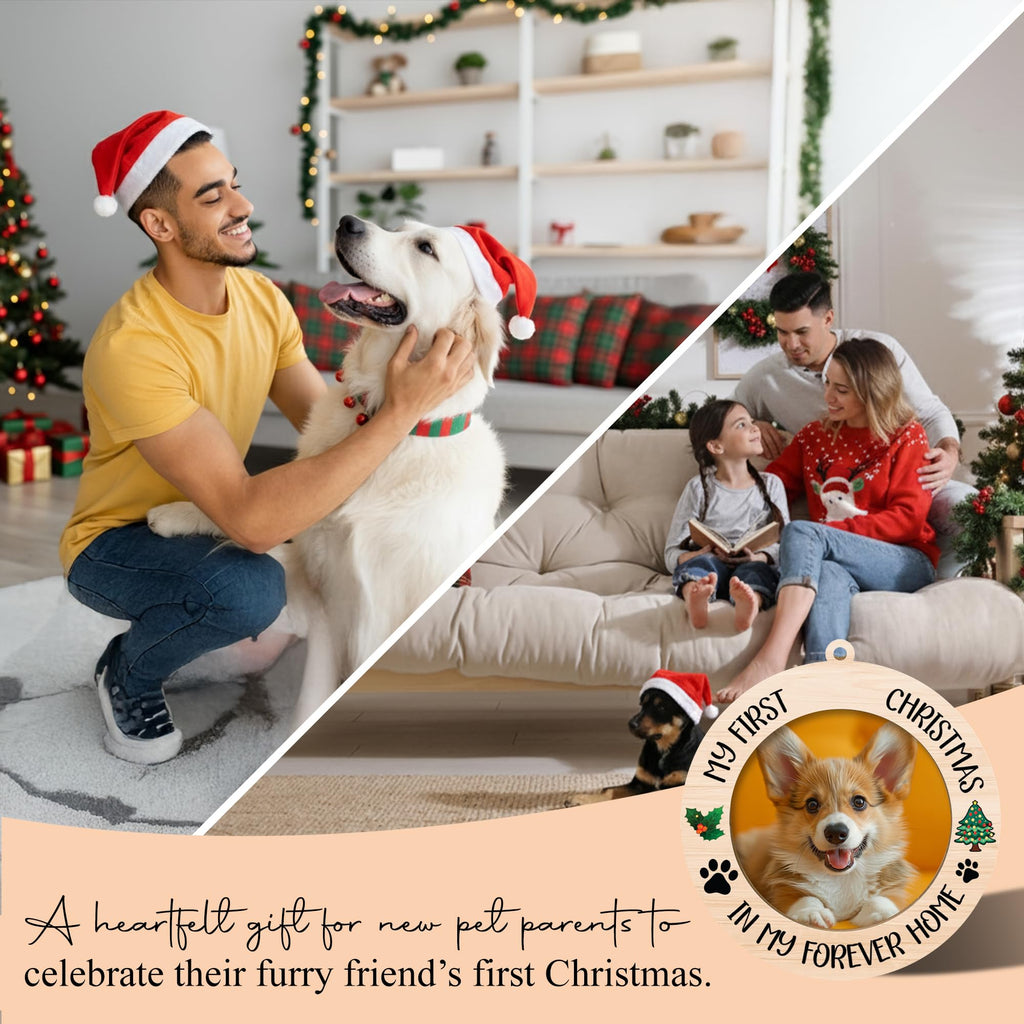 Dog Ornaments V983687