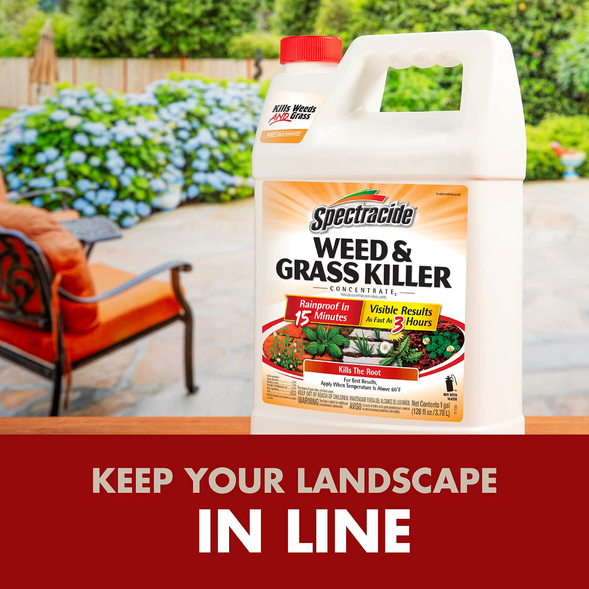 Weed & Grass Killer Concentrate 1 Gal O298910