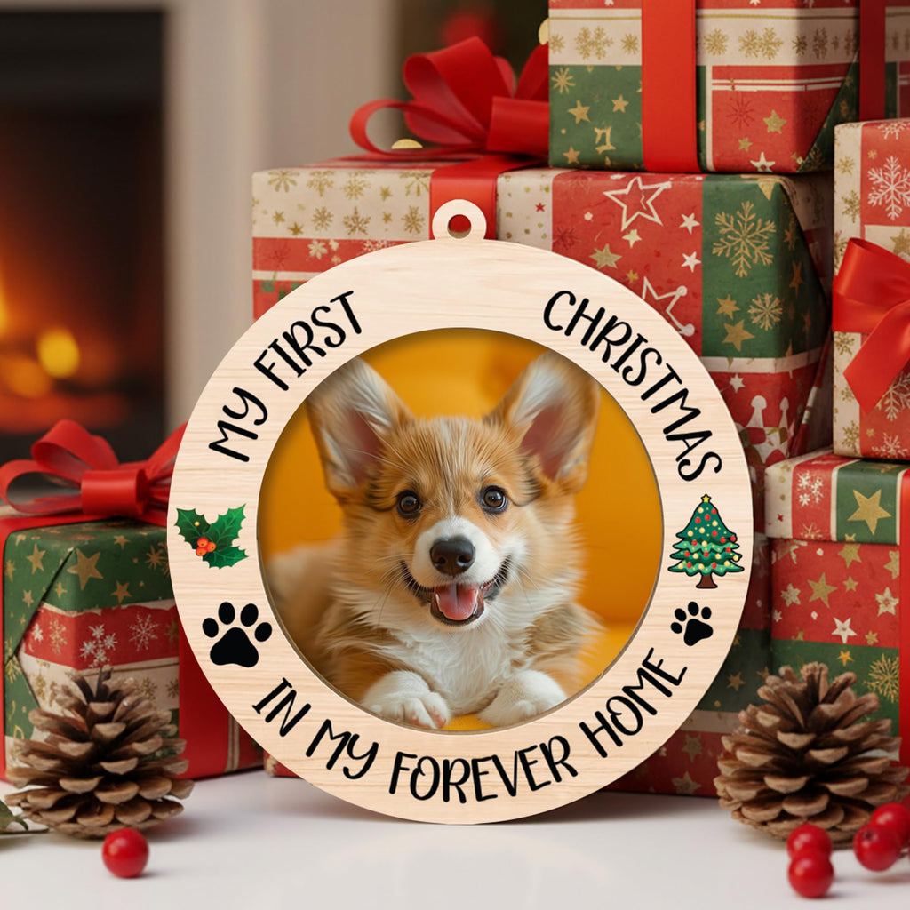 Dog Ornaments V983687