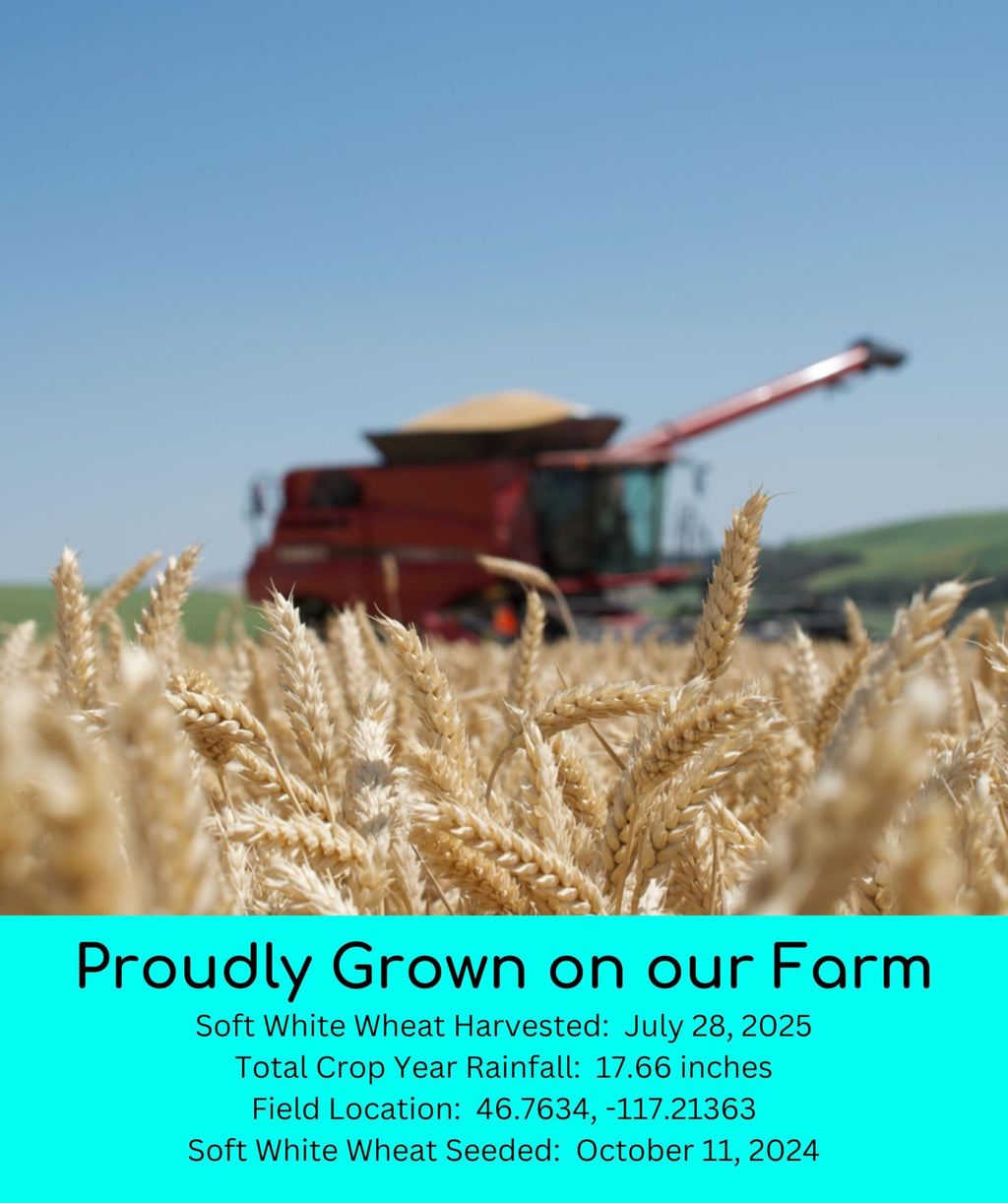 Hard Red Spring and Winter Soft and Hard White Wheat Berries 100 LBS C153983