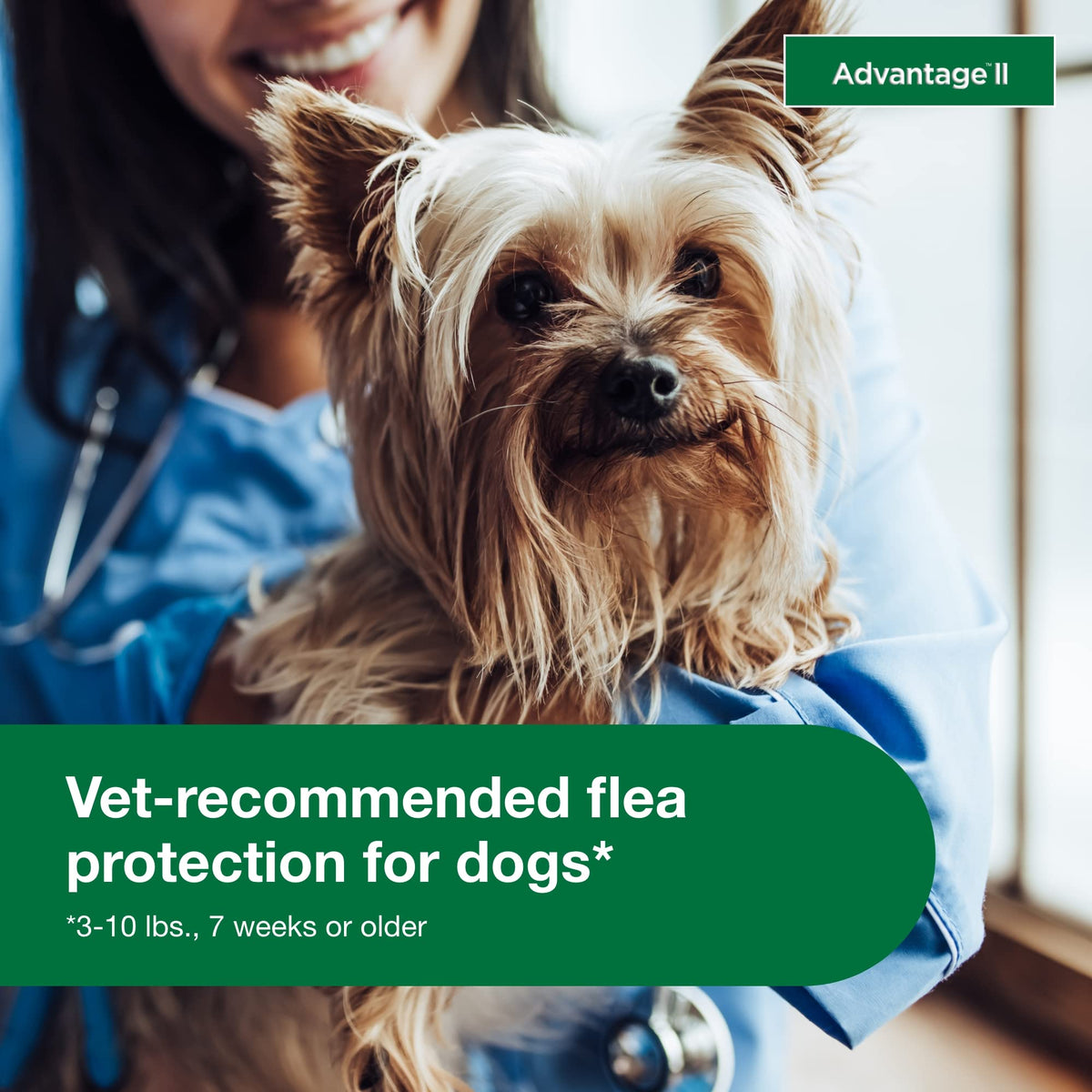Small Dog Flea Treatment & Prevention 4-Month Supply B737056