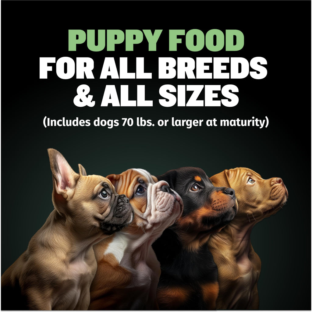 High-Protein Lamb Puppy Food, Vitamin Tabs & Power Tabs F537745