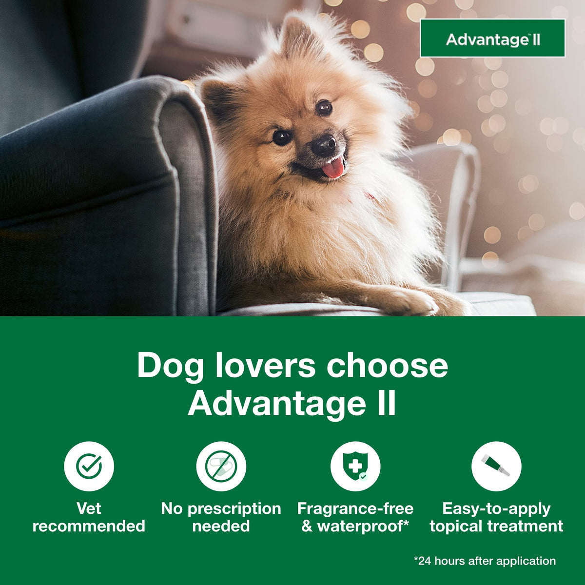 Small Dog Flea Treatment & Prevention 4-Month Supply B737056