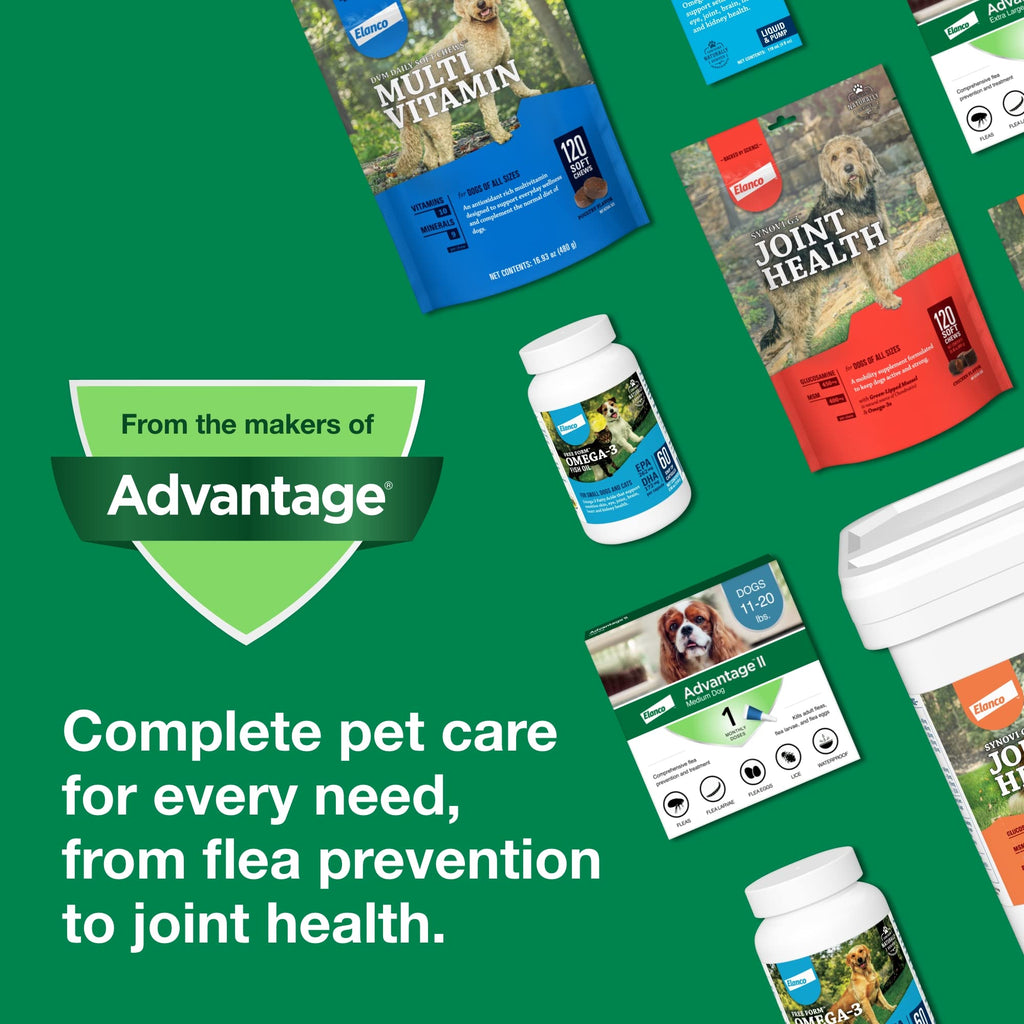 Small Dog Flea Treatment & Prevention 4-Month Supply B737056