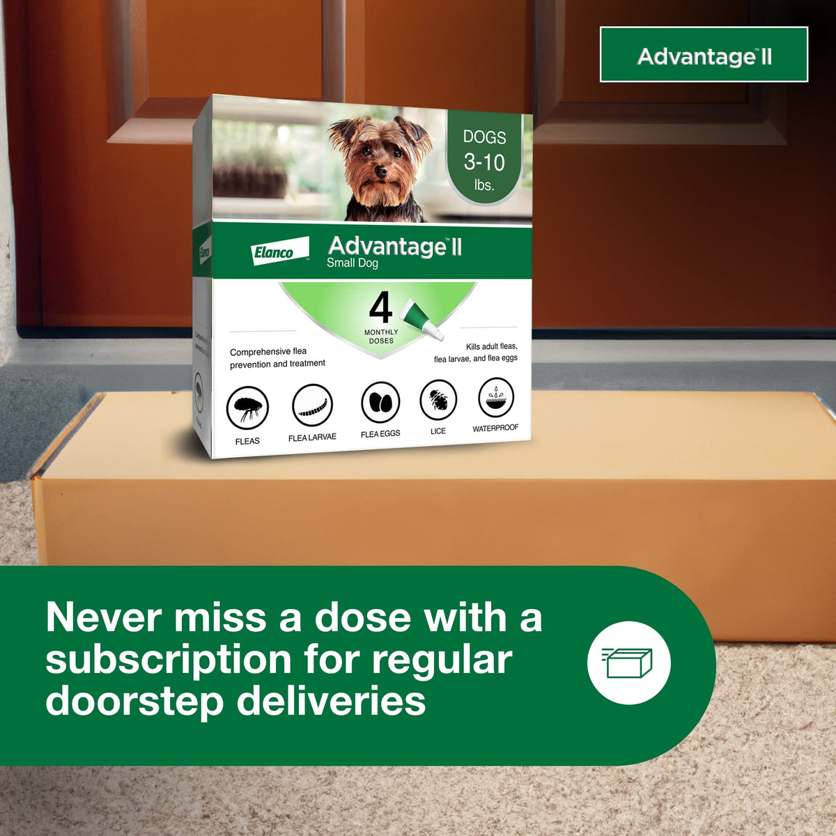 Small Dog Flea Treatment & Prevention 4-Month Supply B737056