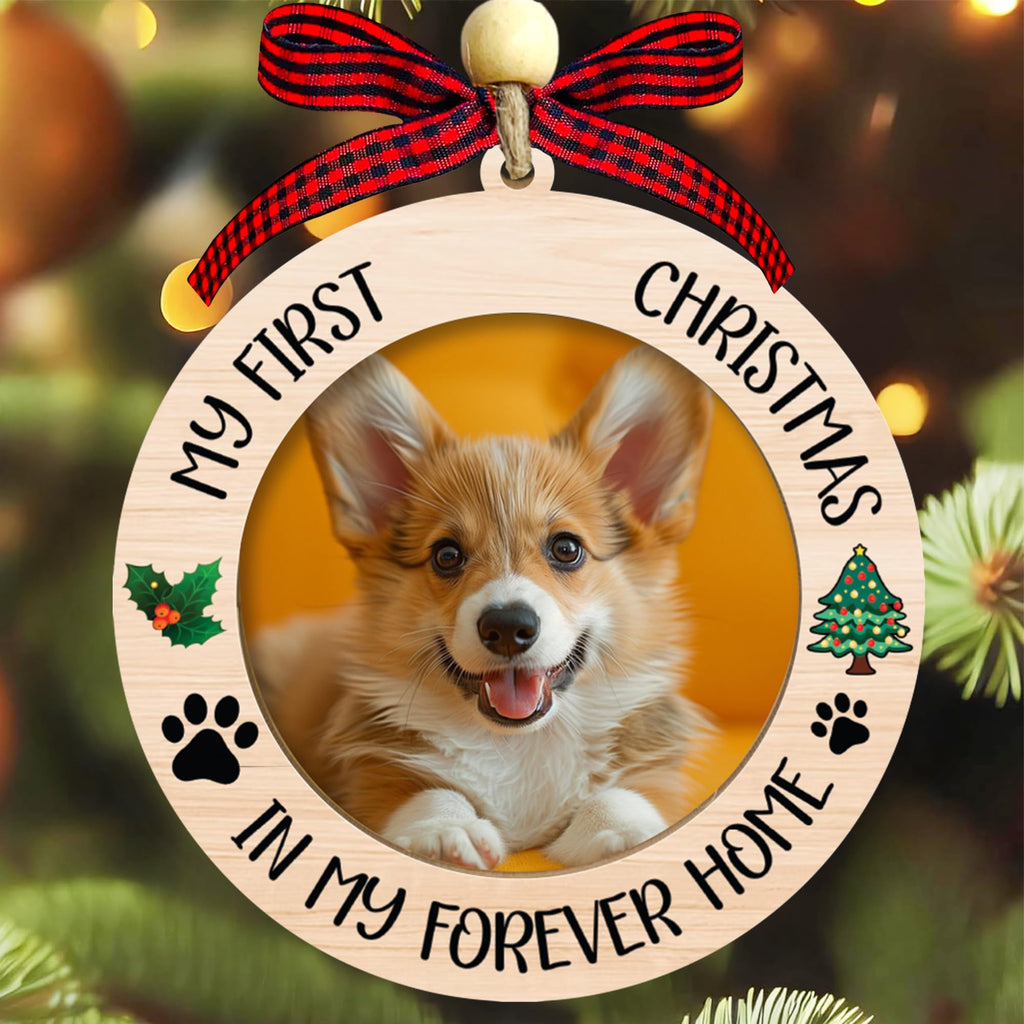 Dog Ornaments V983687