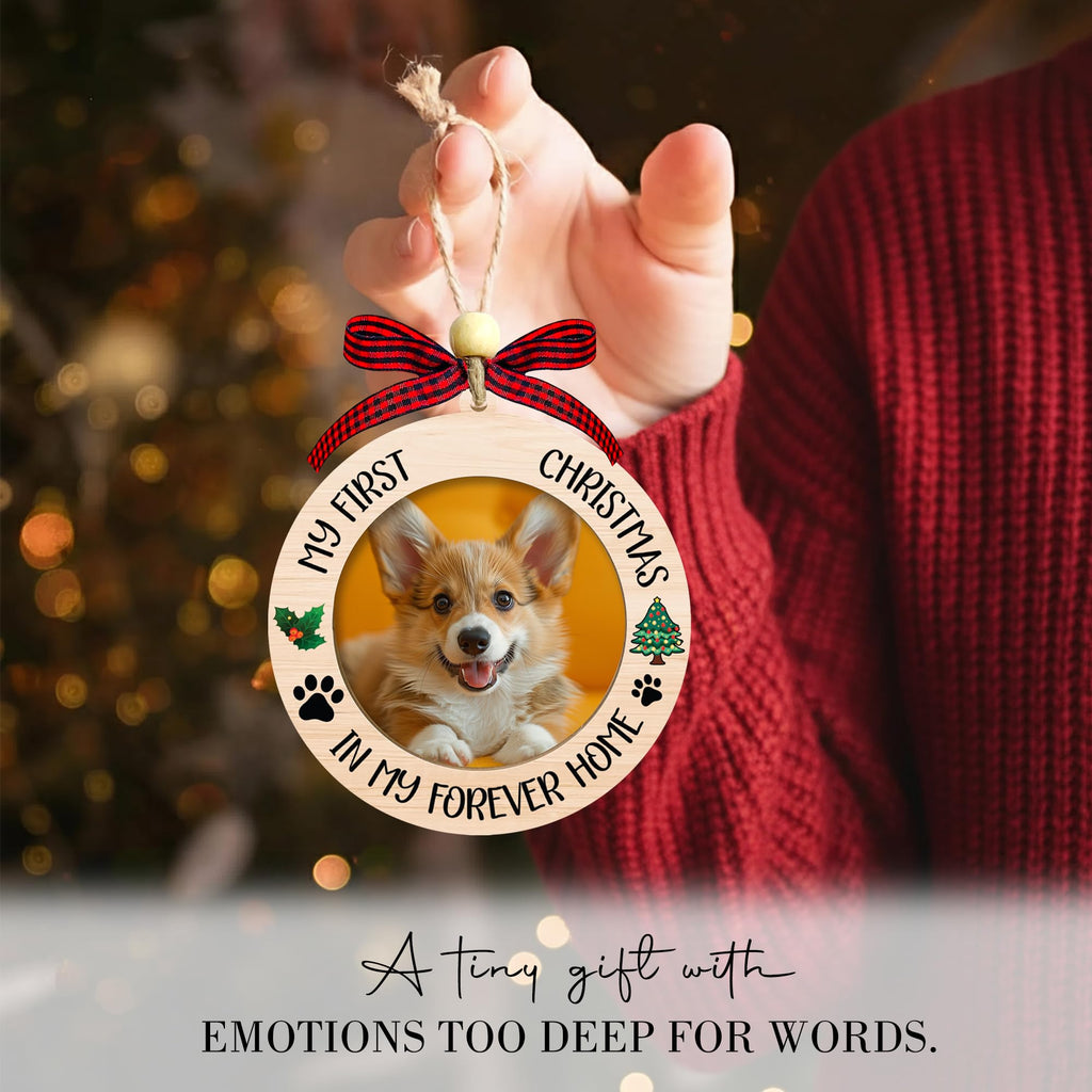 Dog Ornaments V983687