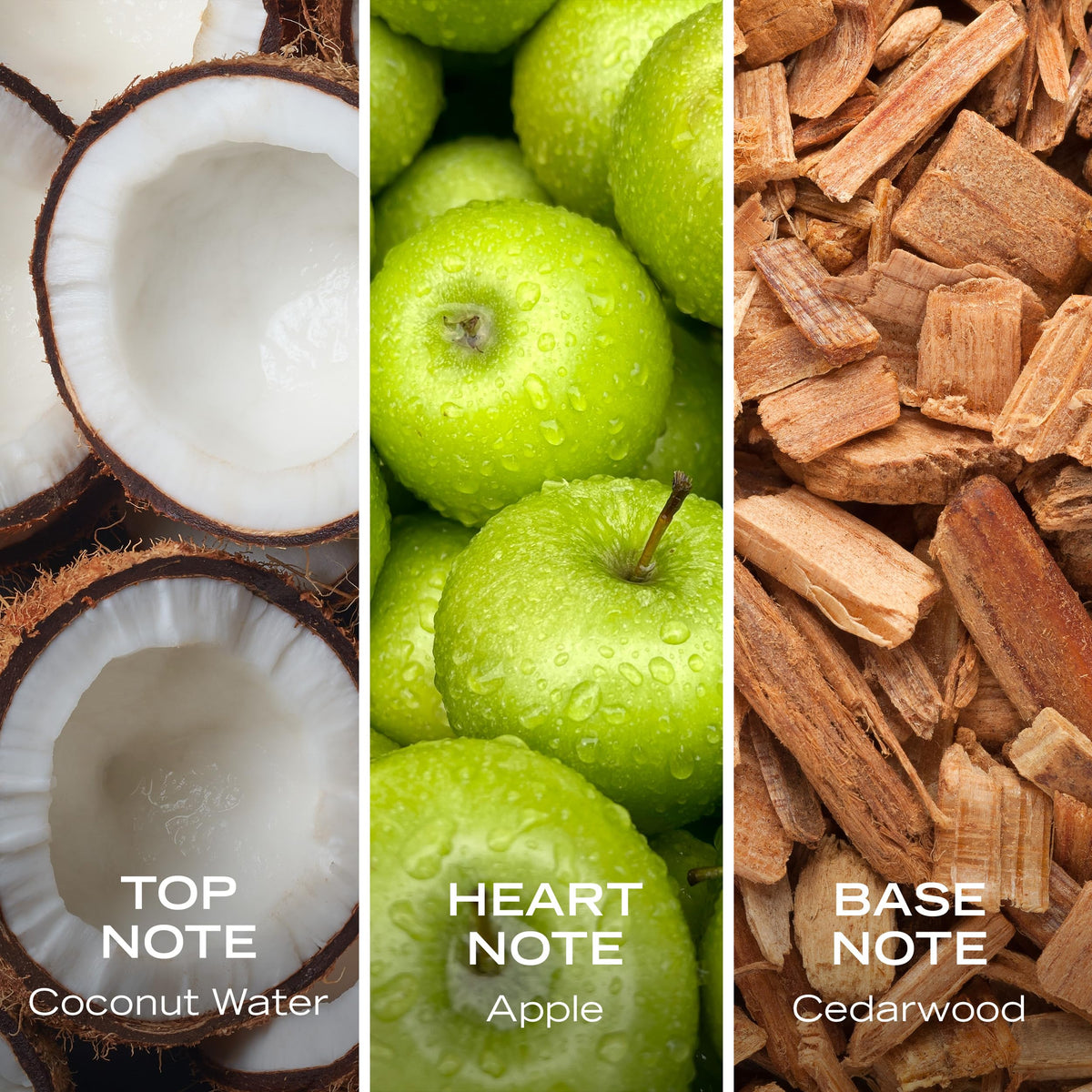 Coconut Apple Cedarwood Hair & Body Mist 8.0 fl oz W68335
