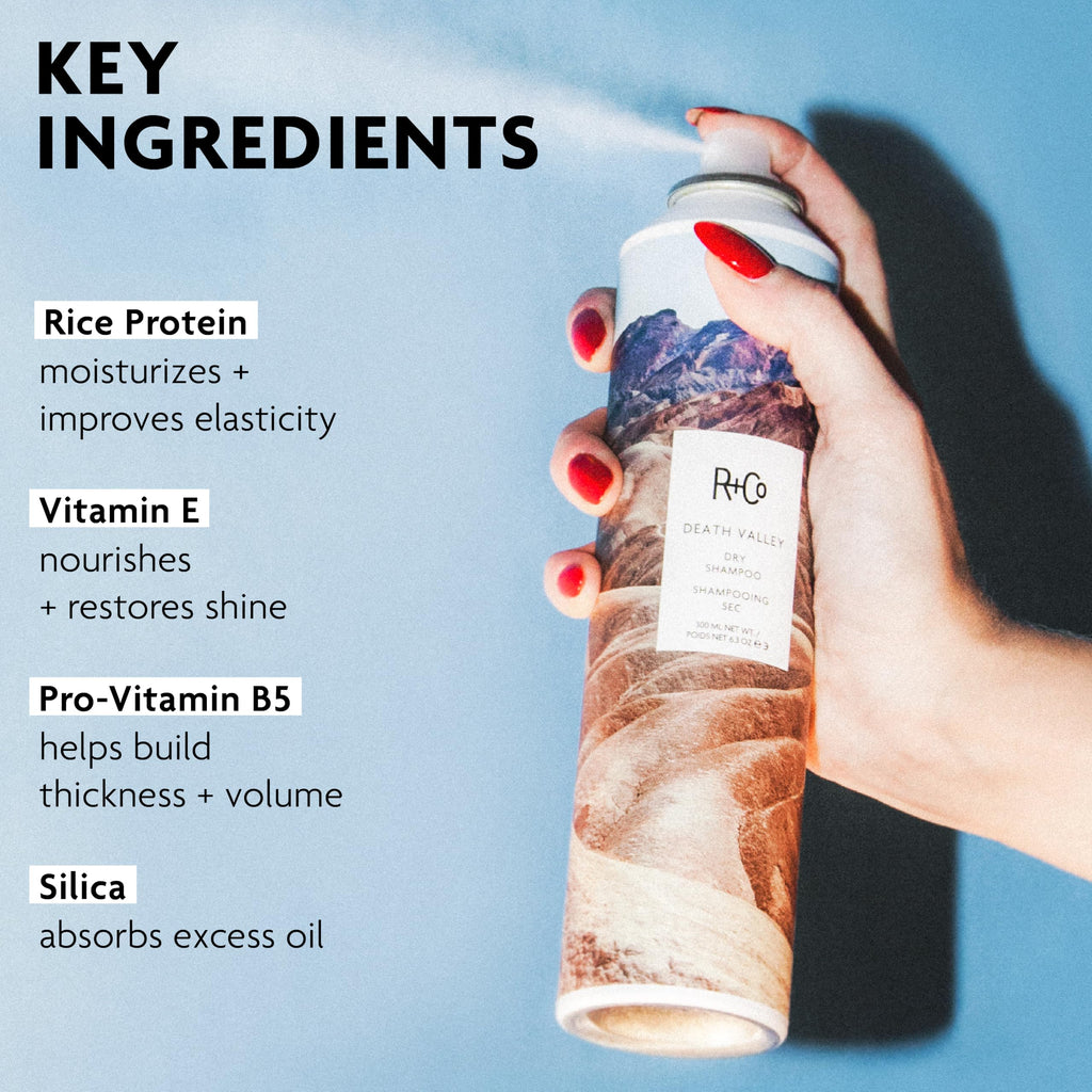 Dry Shampoo V620830